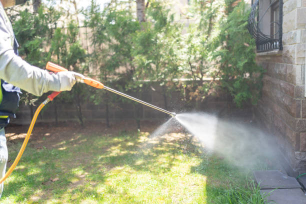 Pest Prevention Services in Roselle, IL